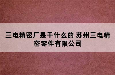 三电精密厂是干什么的 苏州三电精密零件有限公司